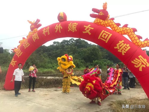 适合农村创业的项目一次性投资,农村创业项目排行榜小本生意投资