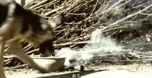 3万人打一星,骇人听闻