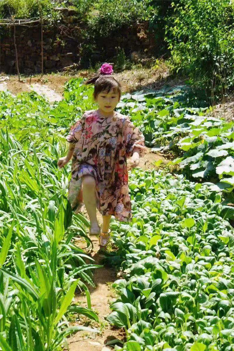 深山隐蔽的世外桃源,隐藏在乡间的世外桃源