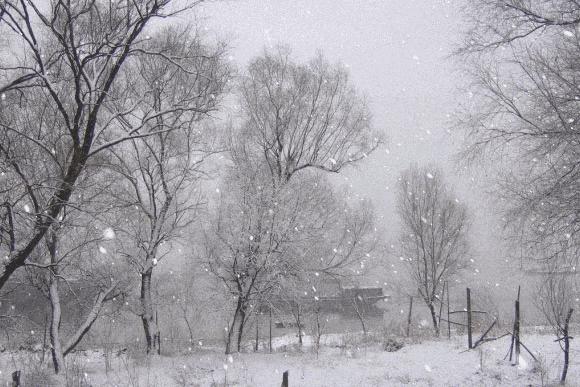 最美的冬雪诗句,春雪的美文美诗