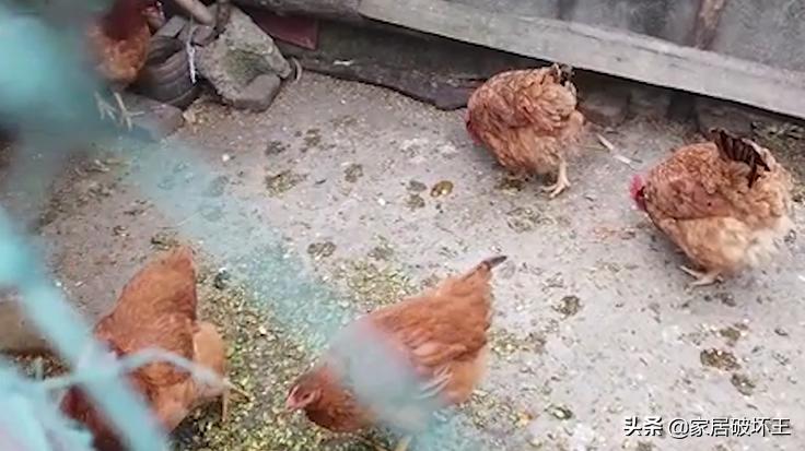 羽绒被消费陷阱？买之前一定擦亮眼睛