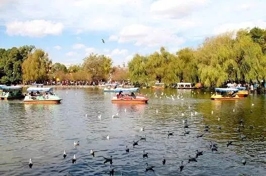 昆明最值得一去的景点,昆明元旦热门景点