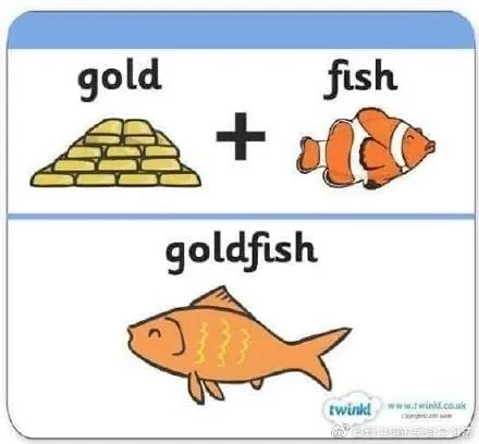 cat是什么词,cat是猫的意思吗