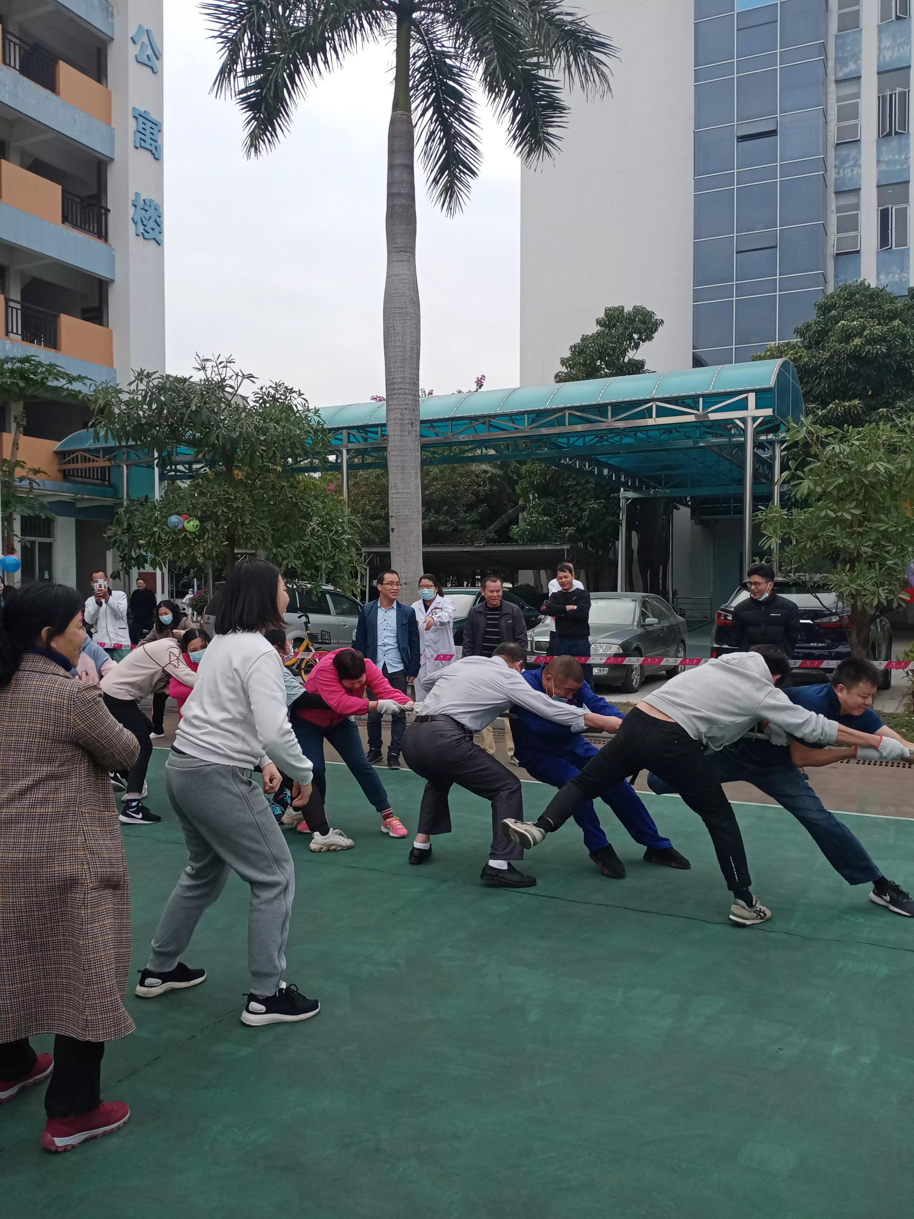 拔河比赛经历,那些年拔河