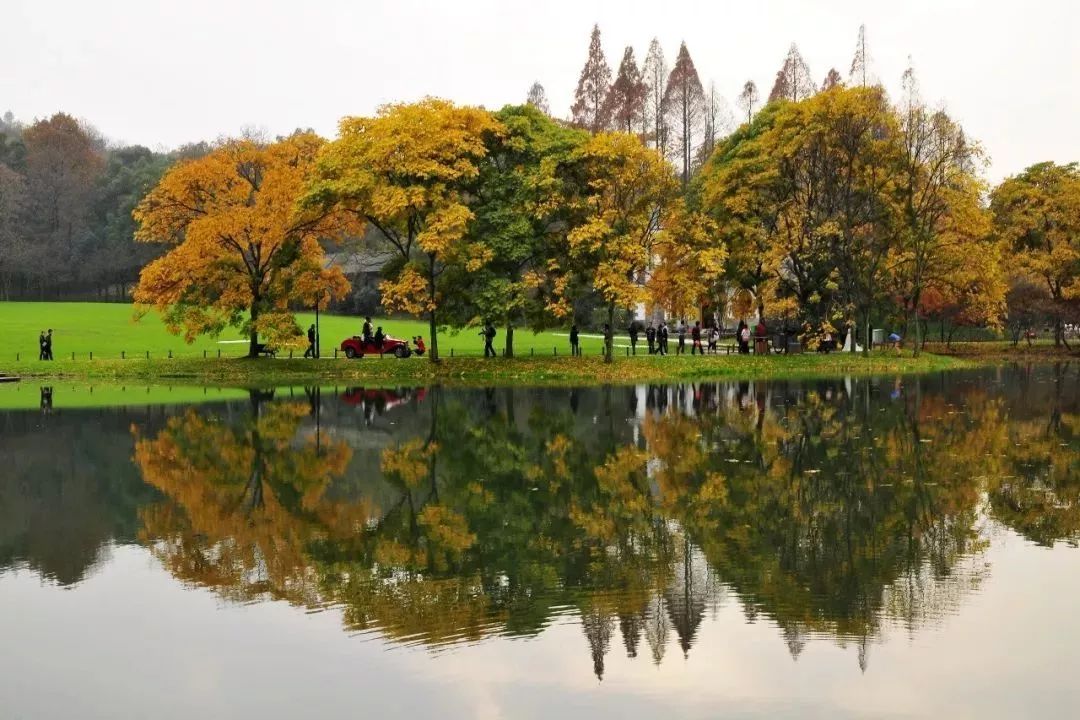 花港一楼茶楼,花港早茶
