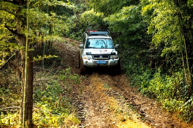 洛天依——有人说如果自己的孩子要是喜欢洛天依，就打死他？