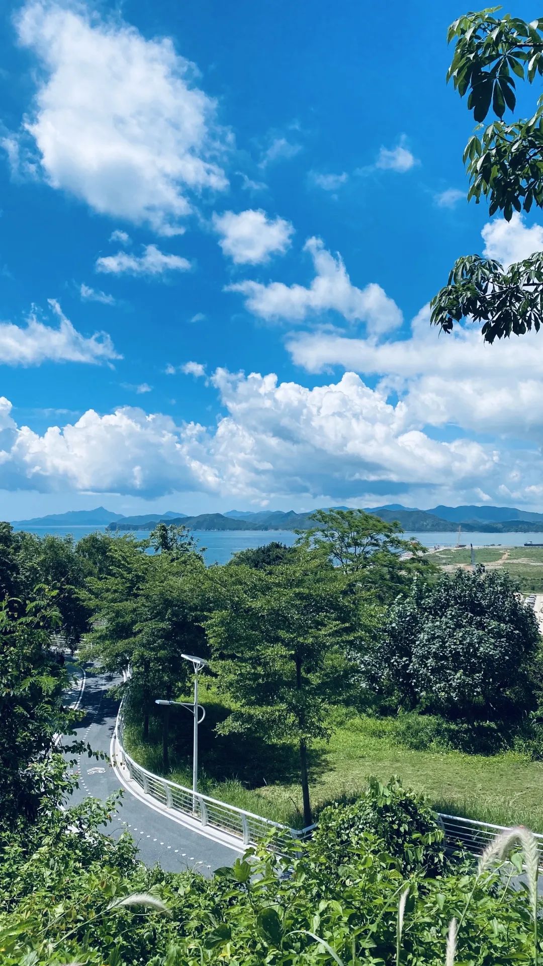 深圳新添大型高颜值公园,深圳最近新开放的公园