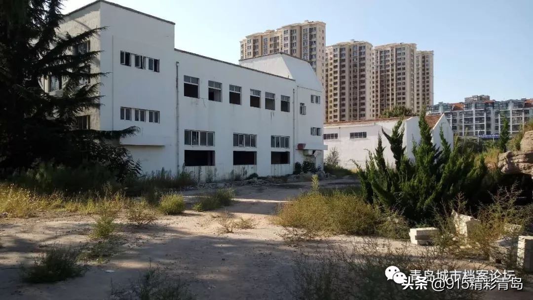 青岛葡萄酒最有名的是哪种,葡萄酒发展史青岛