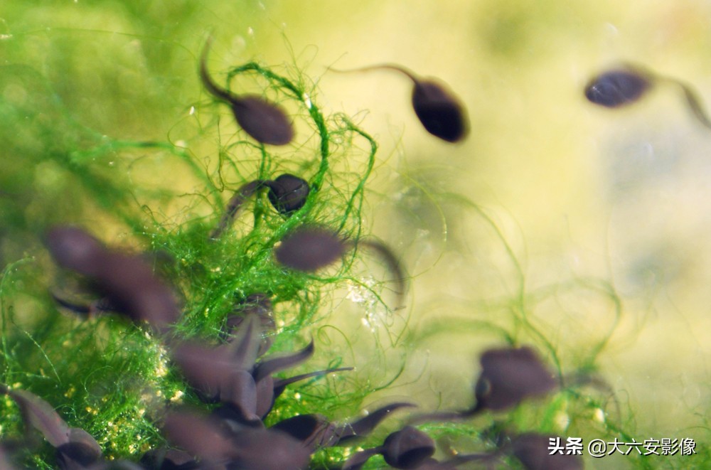 惊蛰到万物复苏的季节,惊蛰到万物醒大班绘本