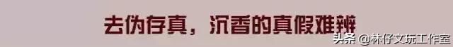 真正的沉香和沉香木,沉香与沉香木之间的联系