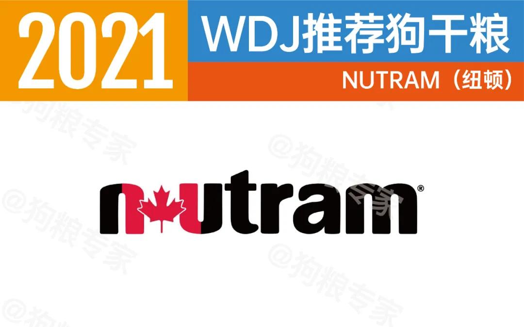 wdj2022鐙楃伯鎺ㄨ崘,wdj杩涘彛鐙楃伯