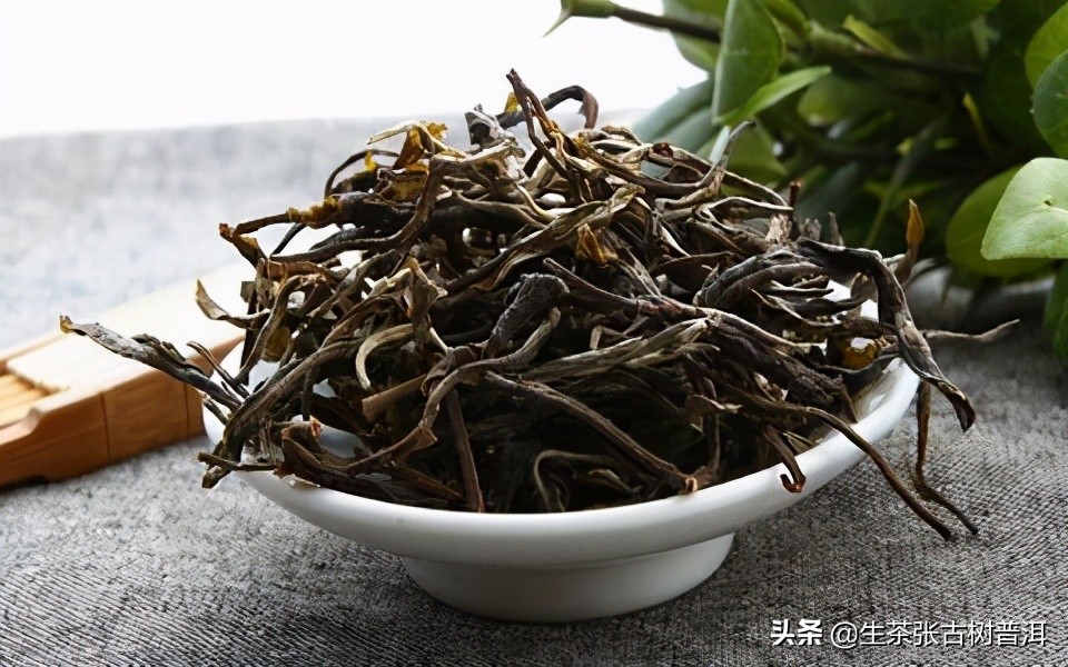 普洱茶的各个特点,普洱茶的十大特点