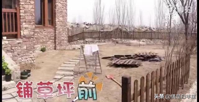 继张馨予之后，娱乐圈再出美贤妻，苗苗愣是把郊区别墅变世外花园