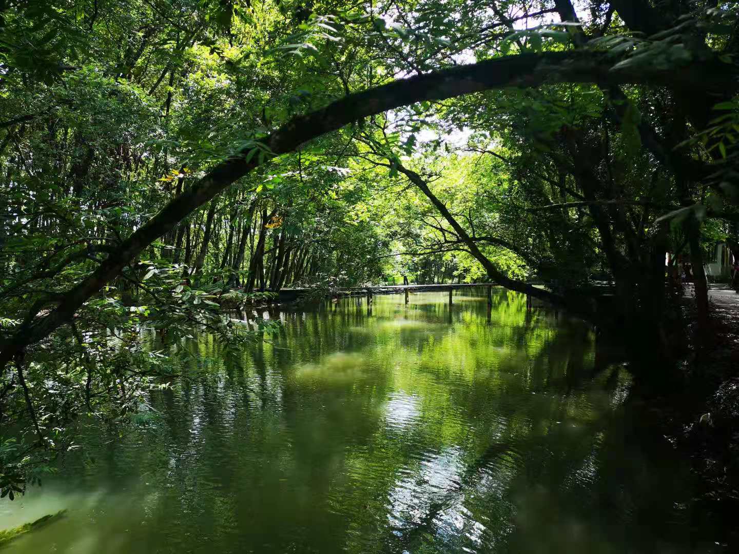 徽州之源探寻绩溪历史文化魅力,绩溪和屯溪
