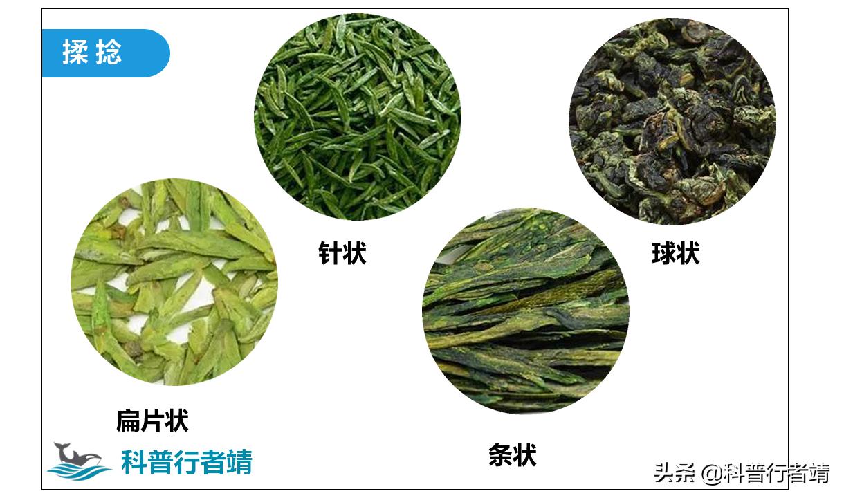 茶叶加工与讲解,茶叶的加工技巧有哪些