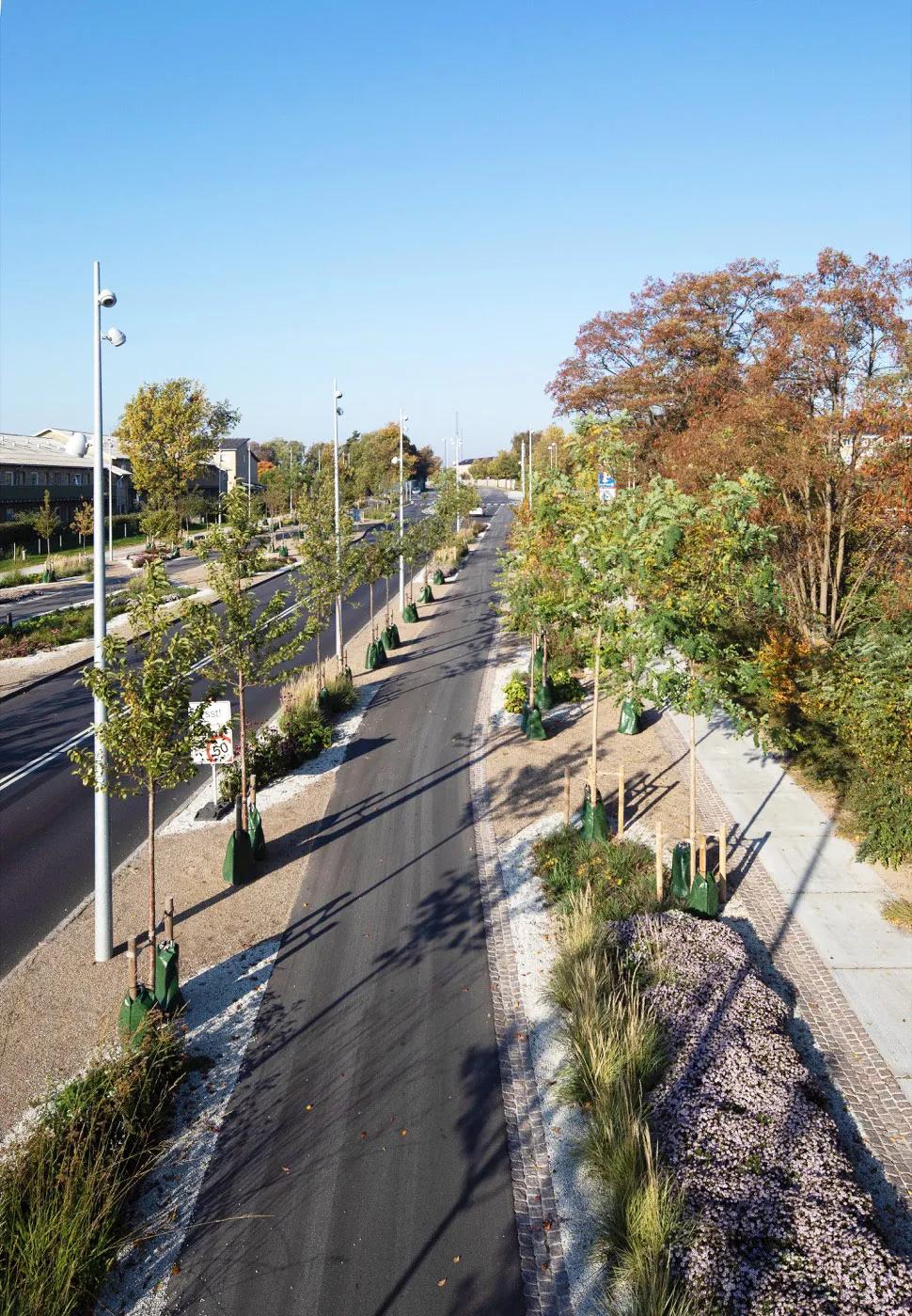 道路设计效果图,个性路面设计