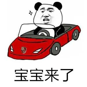 网红猫粮全是智商税,抖音爆款猫粮测评