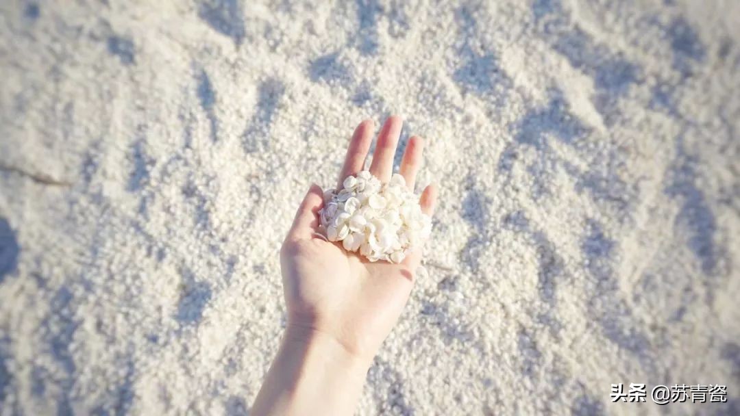 只知道大堡礁？澳大利亚还有这个冷门景点，美得不像地球