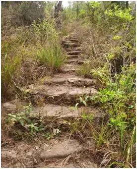 茶马古道全集版,茶马古道下集