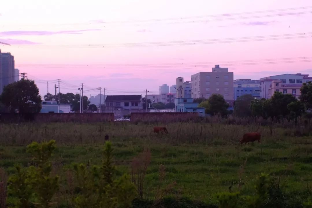 宁波踏青必去十大景点,宁波踏青景点介绍视频