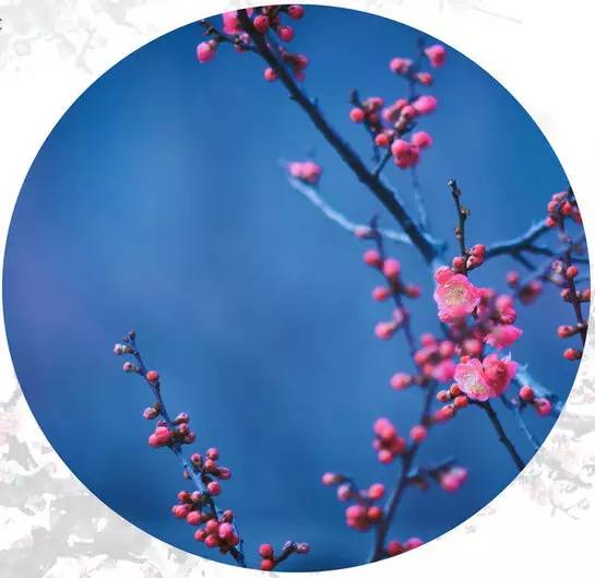 愚人节！来和孩子一起玩个猜成语游戏吧！