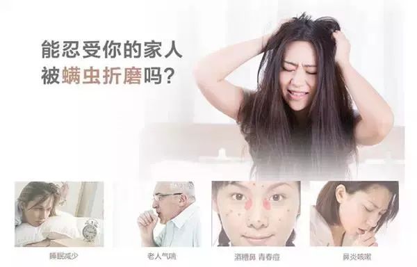 床垫除尘除螨虫多少钱,床垫螨虫怎么彻底消灭