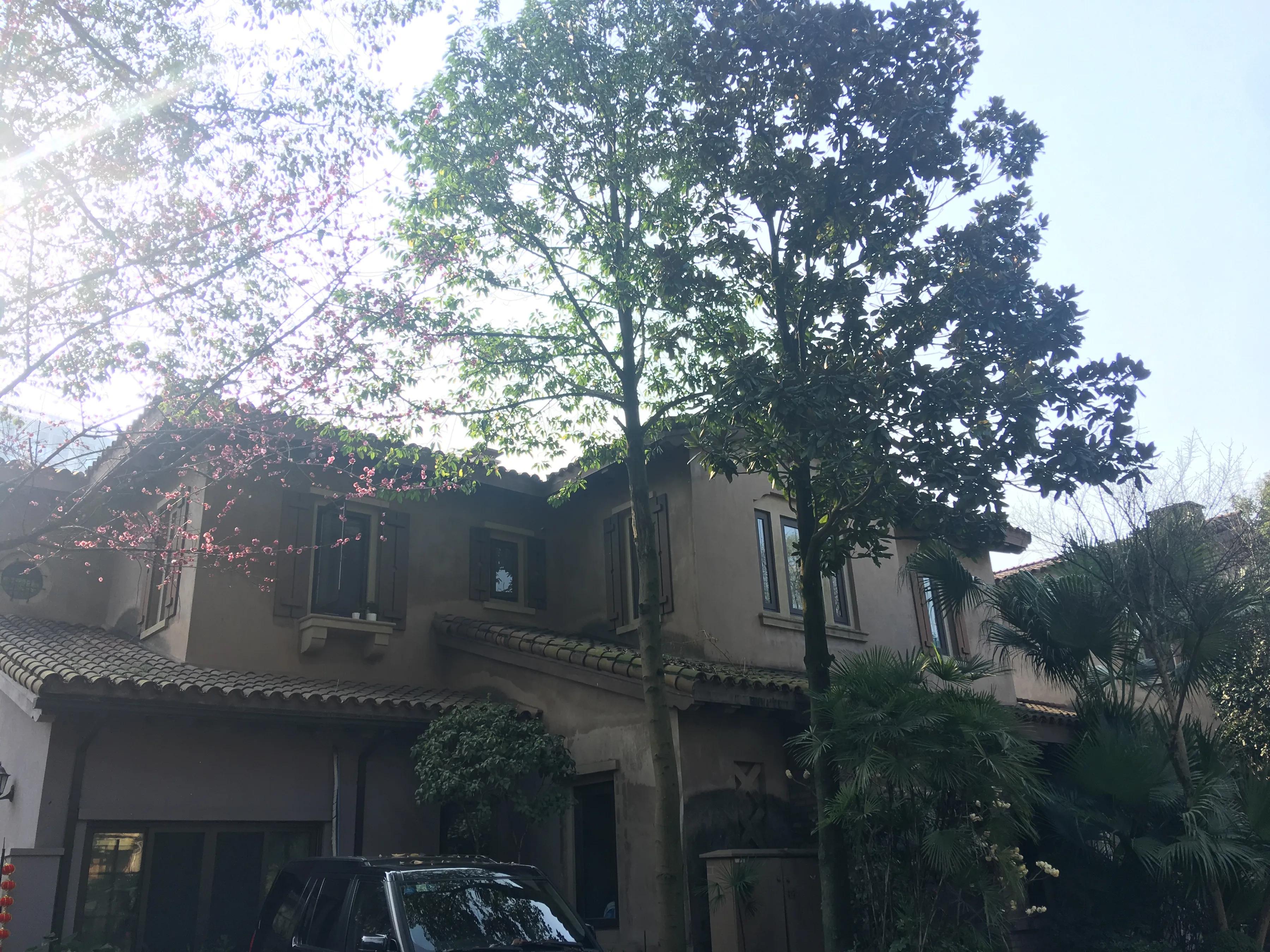 重庆龙湖蓝湖郡临湖,重庆龙湖蓝湖郡租房