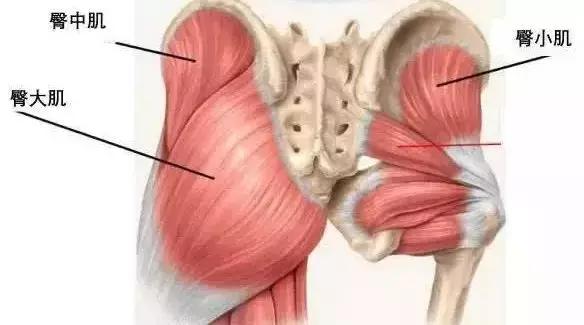蜜桃臀的*伤杀**力有多大？十个男人九个爱