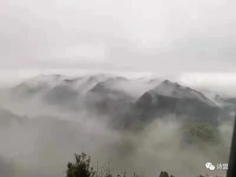 鏈変汉鍘讳簡杩滄柟鏈変汉閫夋嫨铚楀眳,鏈変汉鍘讳簡杩滄柟鏈変汉鍥炰簡鏁呬埂