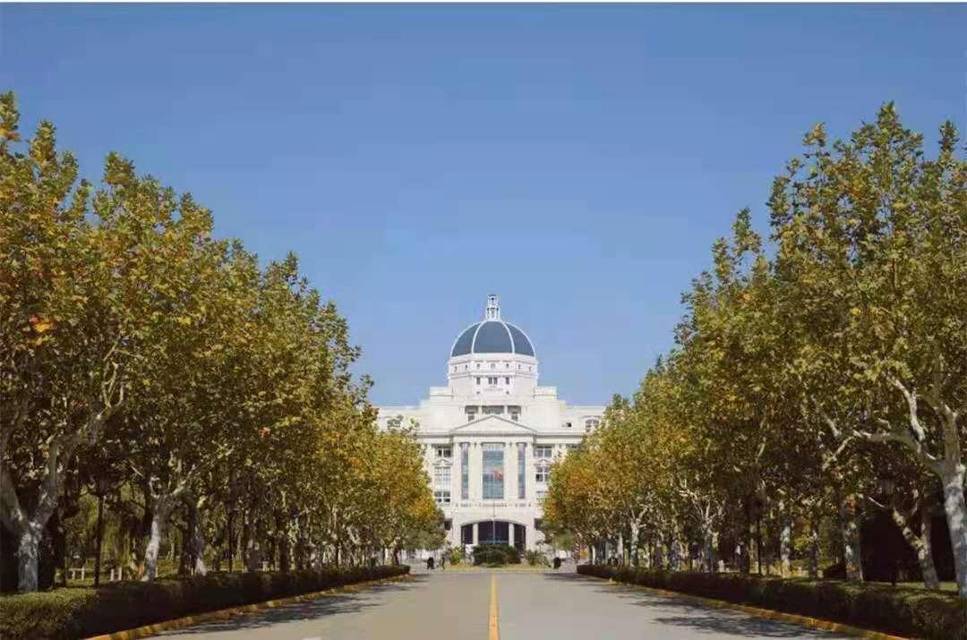 上海小语种专业大学排名,上海的小语种大学排名