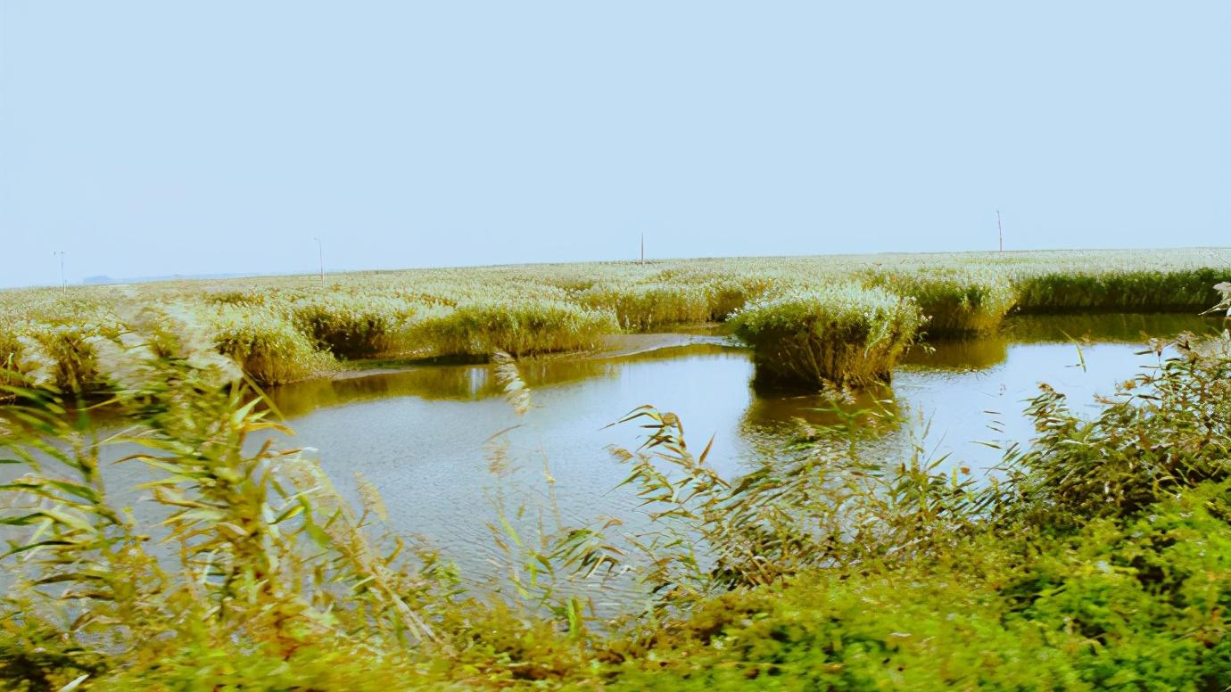 辽宁省盘锦市有什么区,浅谈全国各省份