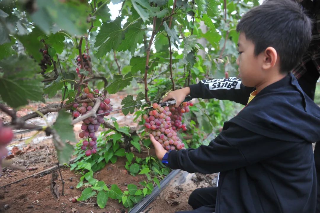 济南市中区推出十享文旅盛宴,济南一道道文旅盛宴