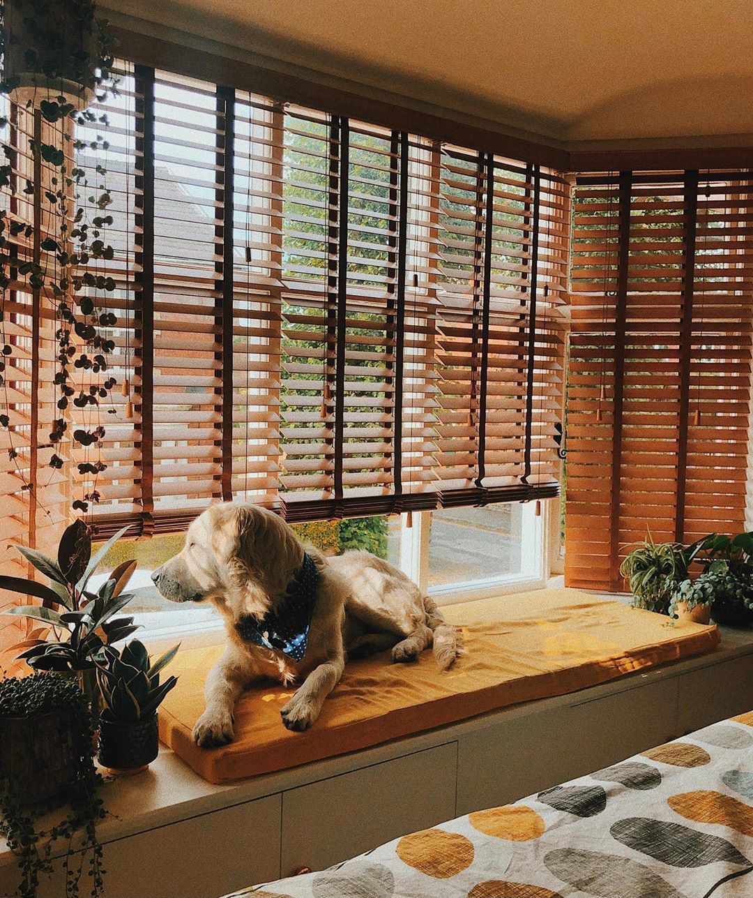 vintage鏃跺皻鍗氫富,鏃跺皻鍗氫富vintage