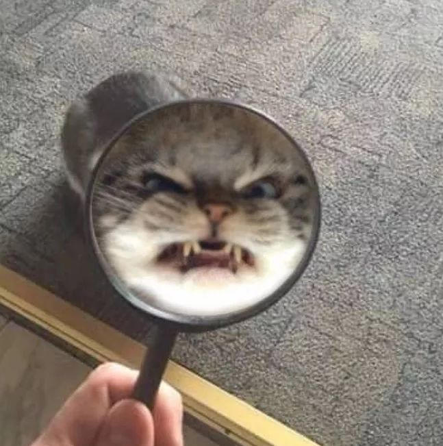 怀疑自己被当“备胎”了？发“3条QQ”试试，回答错误直接拉黑