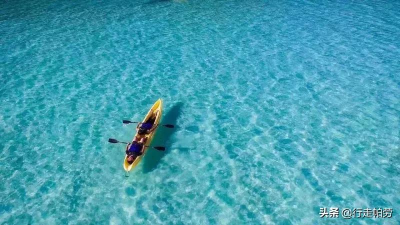 6个理由,帕劳是否值得去