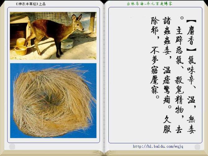 本草纲目中药讲解视频,本草纲目中药图谱及药理讲解