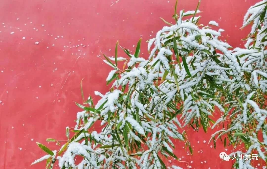 北京适合踏春旅游景点,北京春天看花的景点推荐