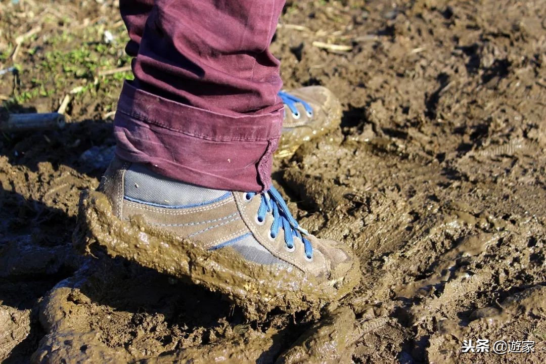 海关禁止携带的物品被查到,带违禁品在海关被抓