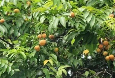 <html>
<head><title>502BadGateway</title></head>
<body>
<center><h1>502BadGateway</h1></center>
<hr><center>nginx</center>
</body>
</html>
<!--apaddingtodisableMSIEandChromefriendlyerrorpage-->
<!--apaddingtodisableMSIEandChromefriendlyerrorpage-->
<!--apaddingtodisableMSIEandChromefriendlyerrorpage-->
<!--apaddingtodisableMSIEandChromefriendlyerrorpage-->
<!--apaddingtodisableMSIEandChromefriendlyerrorpage-->
<!--apaddingtodisableMSIEandChromefriendlyerrorpage-->
