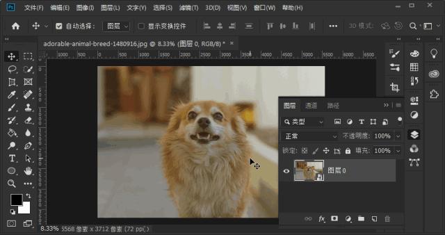 photoshop快捷键大全图解,photoshop快捷键对照表格大全