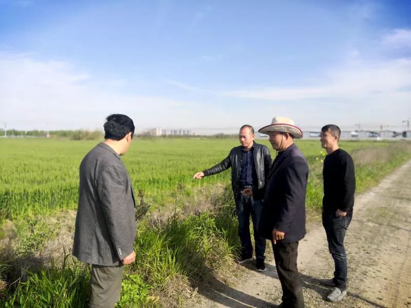 退伍军人投身乡村振兴具体措施,退伍不褪色勇当乡村振兴排头兵