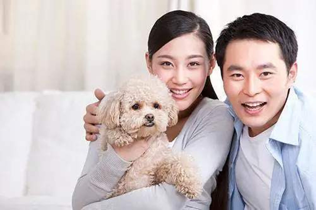 丁克族不生孩子有后悔的吗,为什么丁克族不生孩子