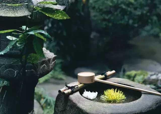 散文心静如水,散文清雅