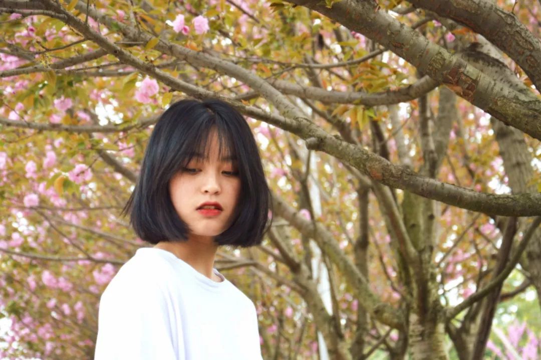 新媒体工作室“媒”你不行，请23日到指点地点对接暗号