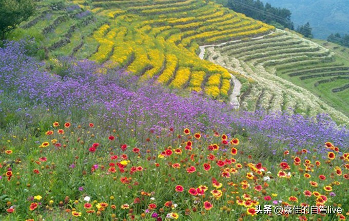 云顶山一日游记,福建云顶山旅游攻略