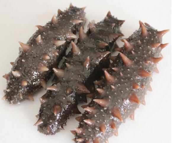 大连海参最正宗的产地是哪里,黄玉海参产地是哪里最好