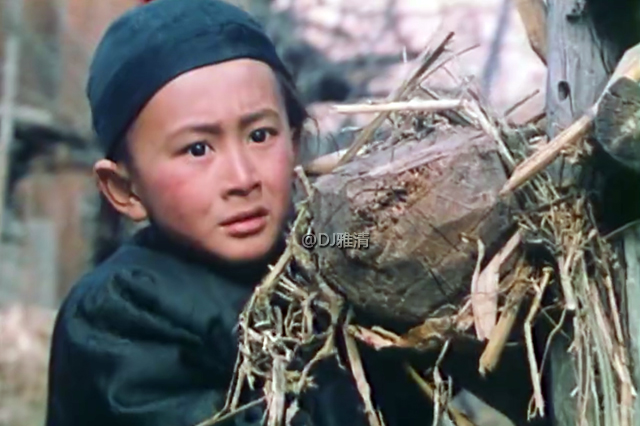 新版自古英雄出少年演员现状,自古英雄出少年演员再聚首视频