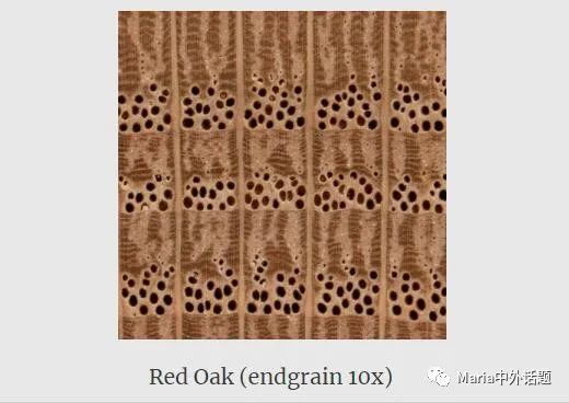 缇庡浗姗℃湪浜у尯,缇庡浗鍖楅儴姗℃湪