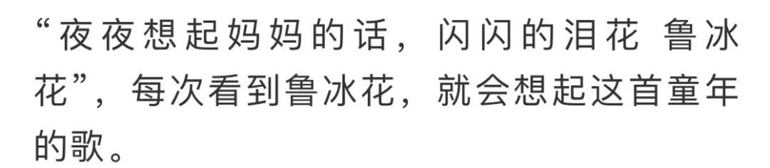 看到花的时候,不知是什么花?那就收下这份百花图谱