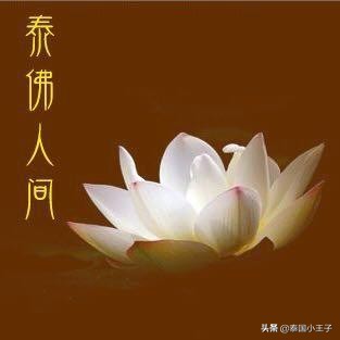 崇迪佛牌功效和禁忌,泰国平安佛牌种类